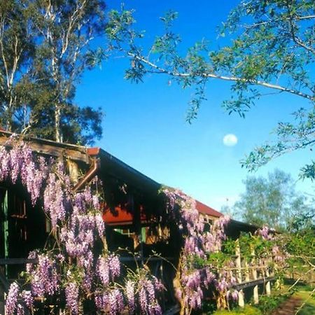 Cedar Creek Cottages Millfield Eksteriør billede
