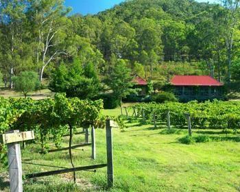 Cedar Creek Cottages Millfield Eksteriør billede